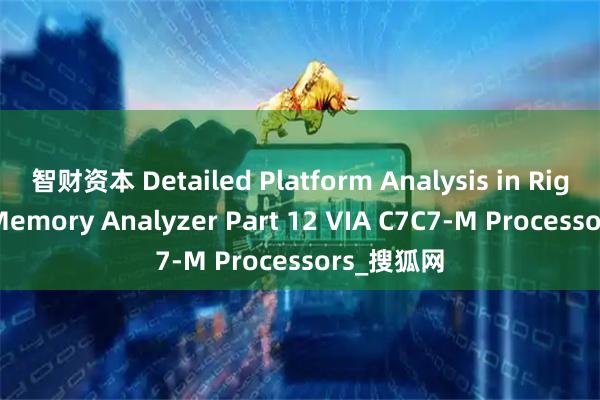 智财资本 Detailed Platform Analysis in RightMark Memory Analyzer Part 12 VIA C7C7-M Processors_搜狐网